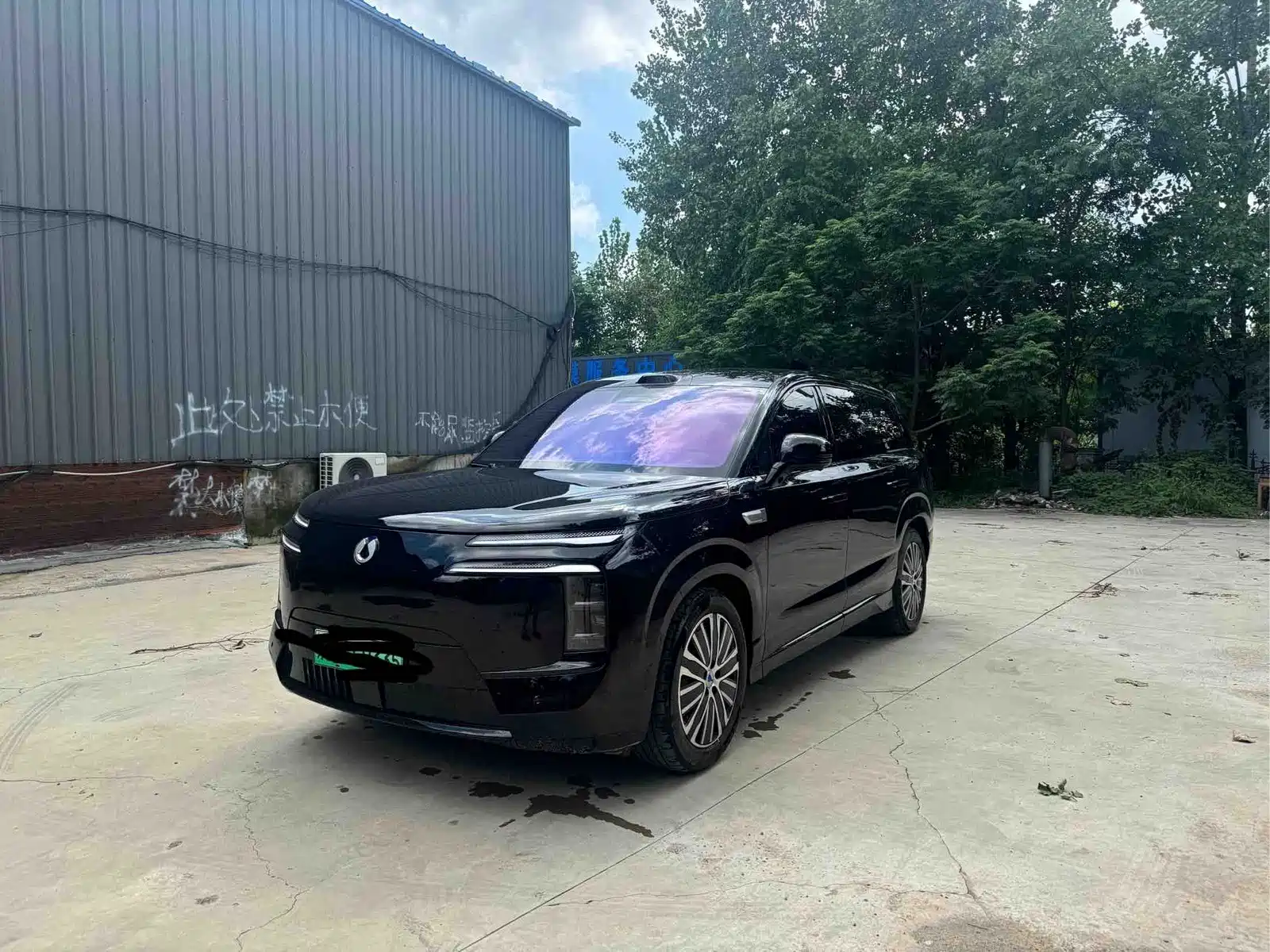 Denza N8L 2026 Model Prestige Edition — фото 2