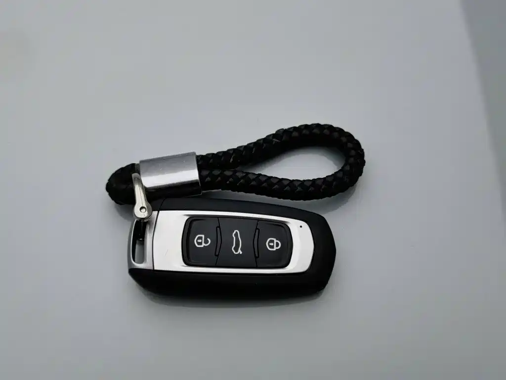 Geely Galaxy Panda 2023 Panda Mini 200km Endurance Bear — фото 19