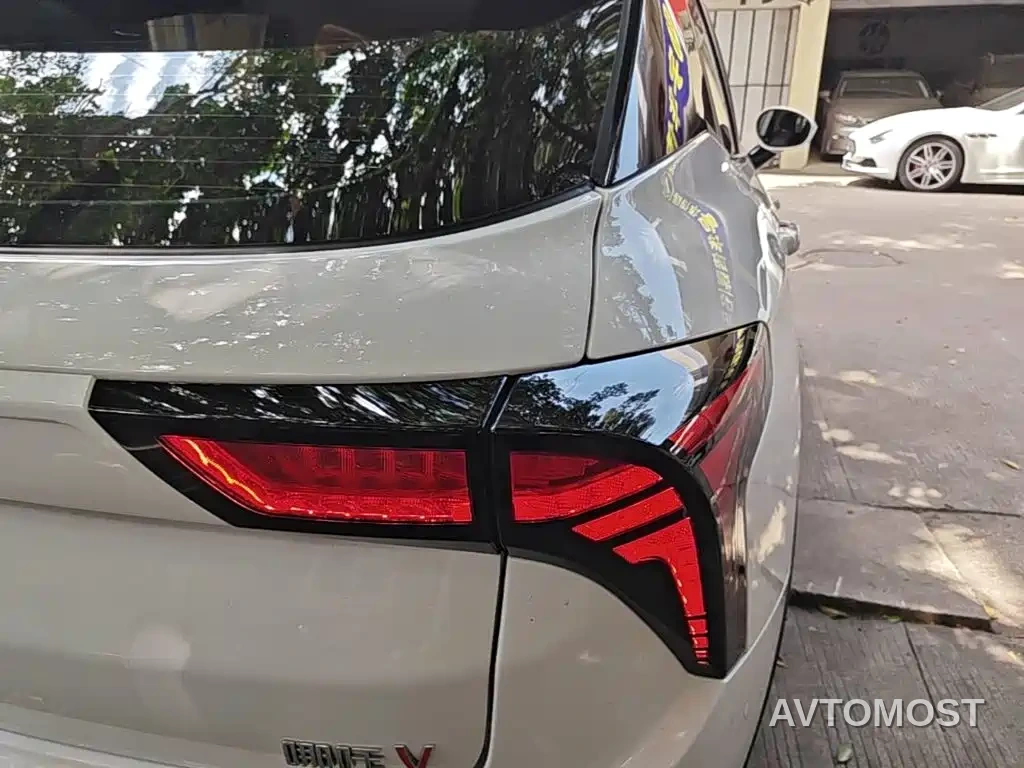 Nezha V 2021 Standard Range Entertainment Upgrade — фото 8