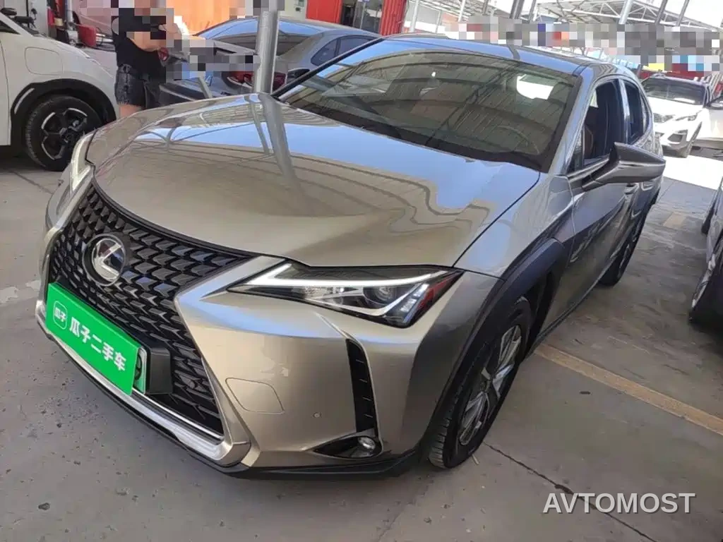 Lexus UX Electric 2020 300e Pure Yue Edition — фото 1