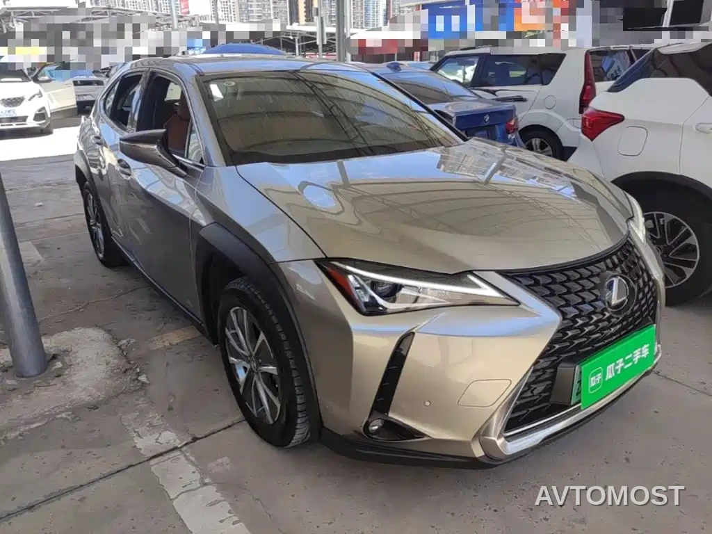 Lexus UX Electric 2020 300e Pure Yue Edition — фото 3