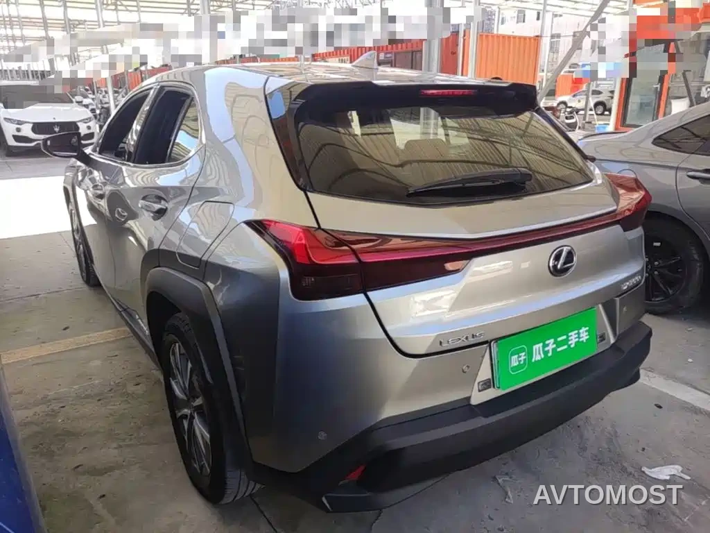 Lexus UX Electric 2020 300e Pure Yue Edition — фото 4