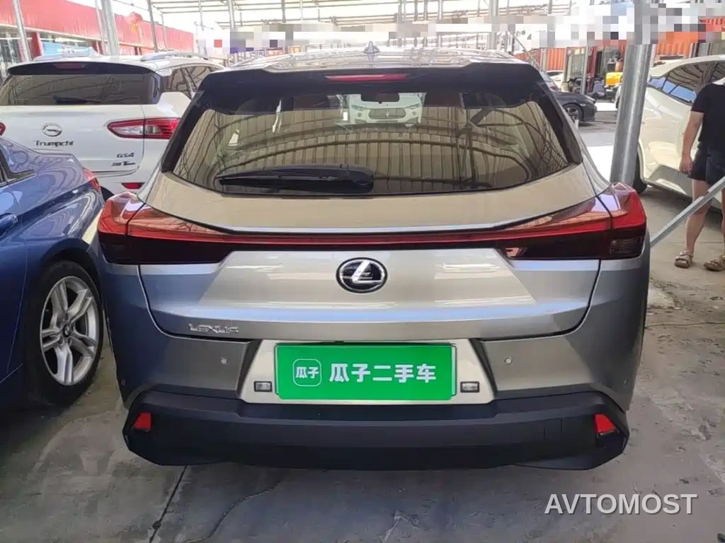 Lexus UX Electric 2020 300e Pure Yue Edition — фото 5