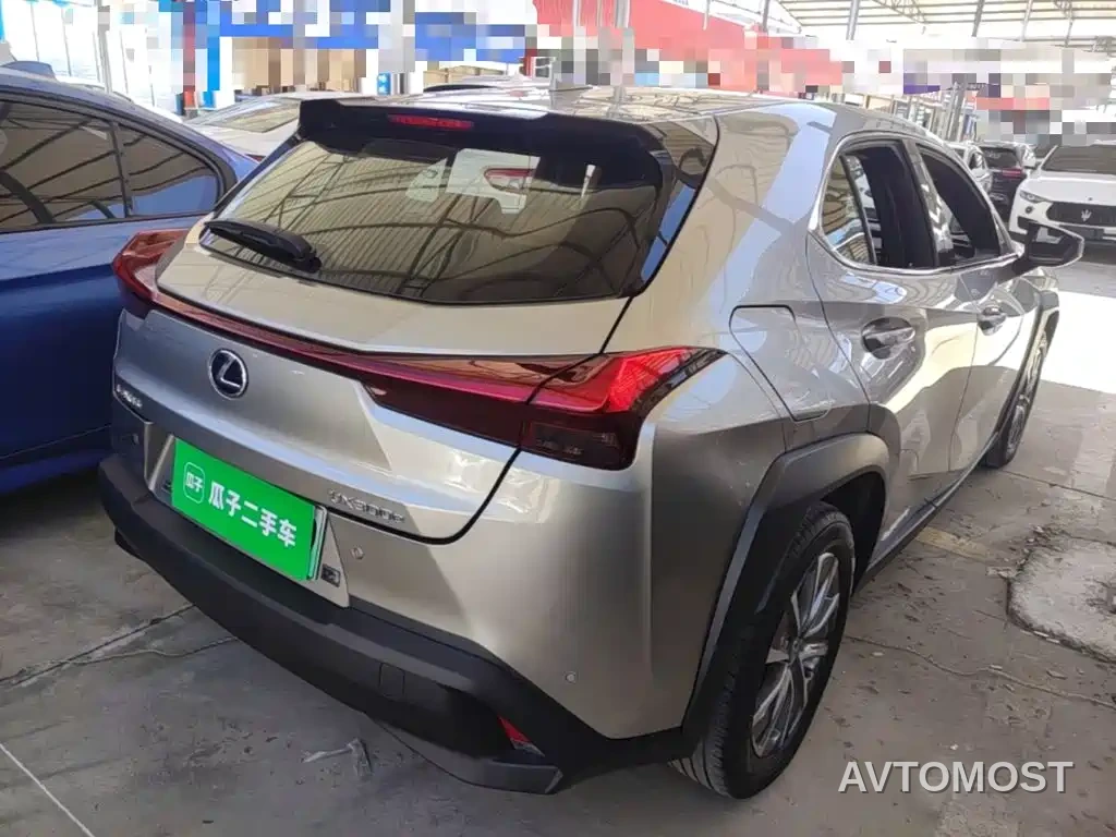 Lexus UX Electric 2020 300e Pure Yue Edition — фото 6