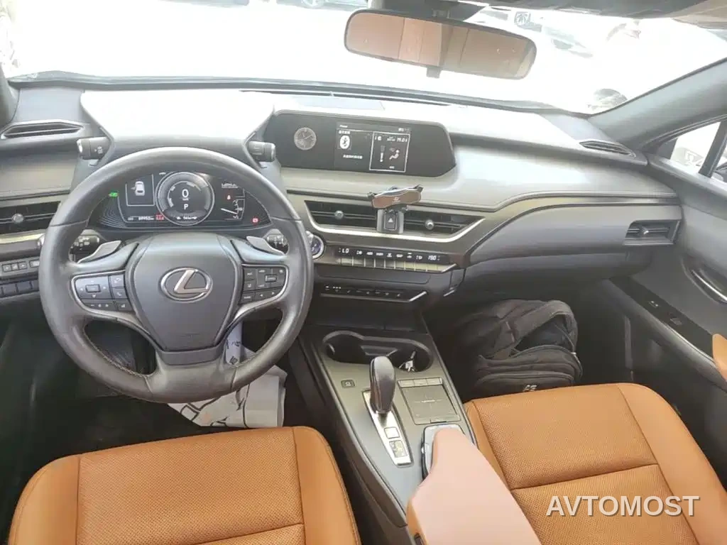 Lexus UX Electric 2020 300e Pure Yue Edition — фото 9