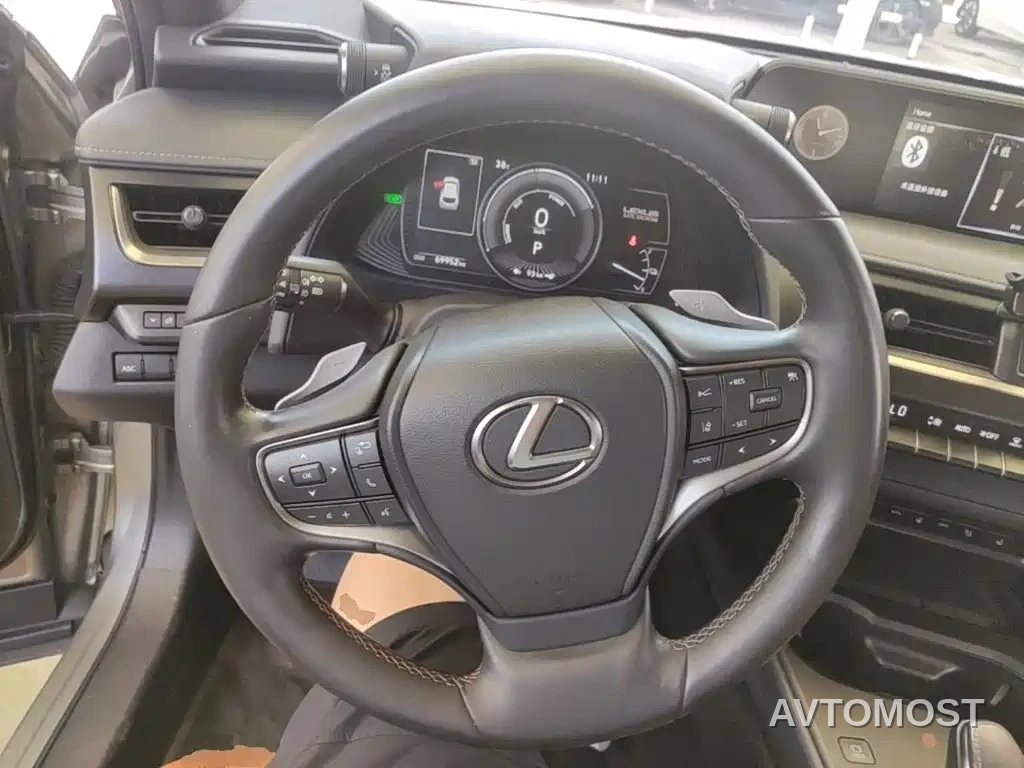 Lexus UX Electric 2020 300e Pure Yue Edition — фото 10