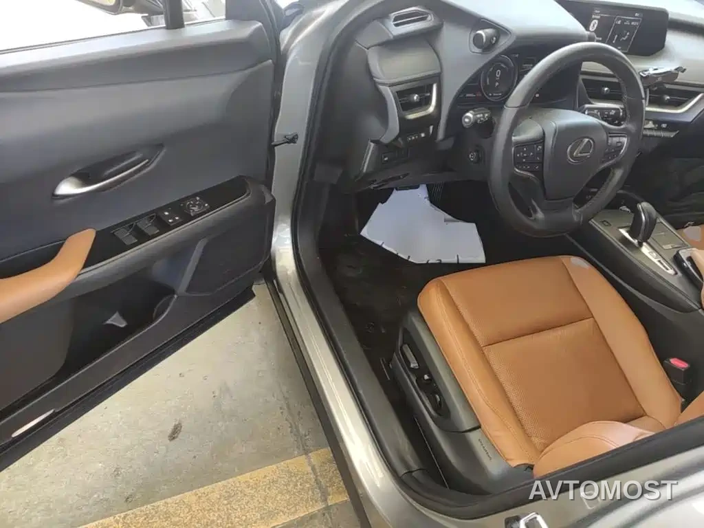 Lexus UX Electric 2020 300e Pure Yue Edition — фото 15