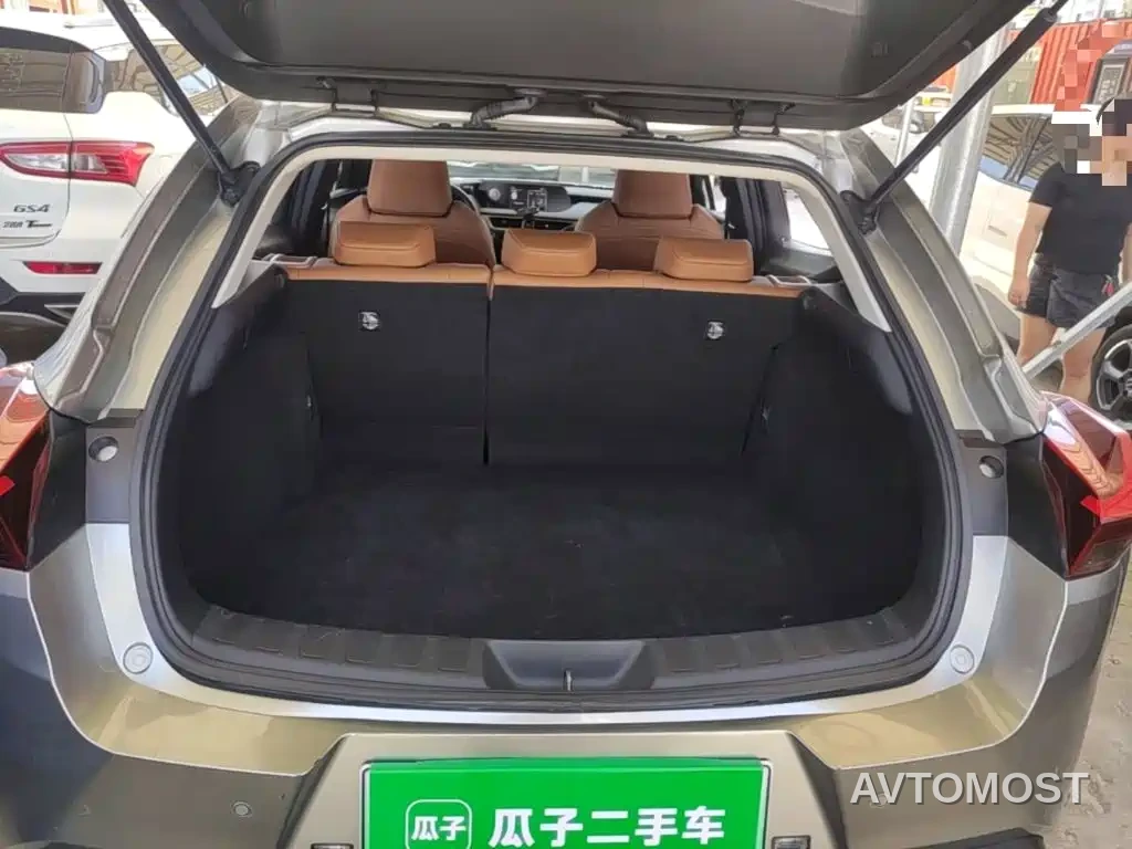 Lexus UX Electric 2020 300e Pure Yue Edition — фото 18