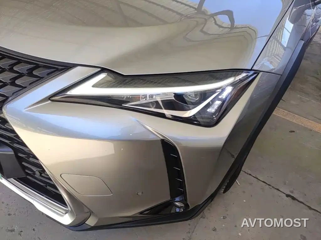 Lexus UX Electric 2020 300e Pure Yue Edition — фото 23