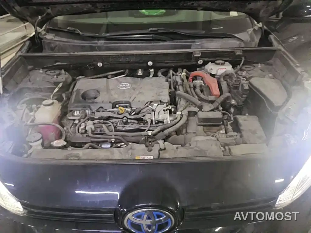 Toyota Wildlander 2020 Hybrid 2.5L E-CVT AWD Luxury Edition — фото 3
