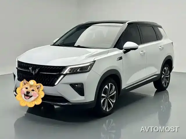 Wuling Xingchen 2022 2.0L DHT Electric Speed Edition