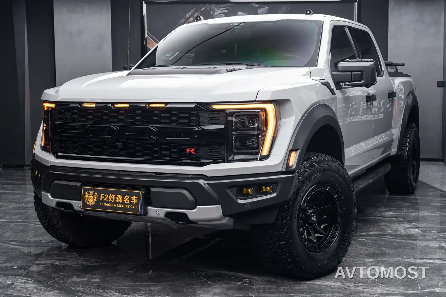 Ford F-150 Raptor 2023 3.5T Raptor Snow Pride Special Edition — фото 1