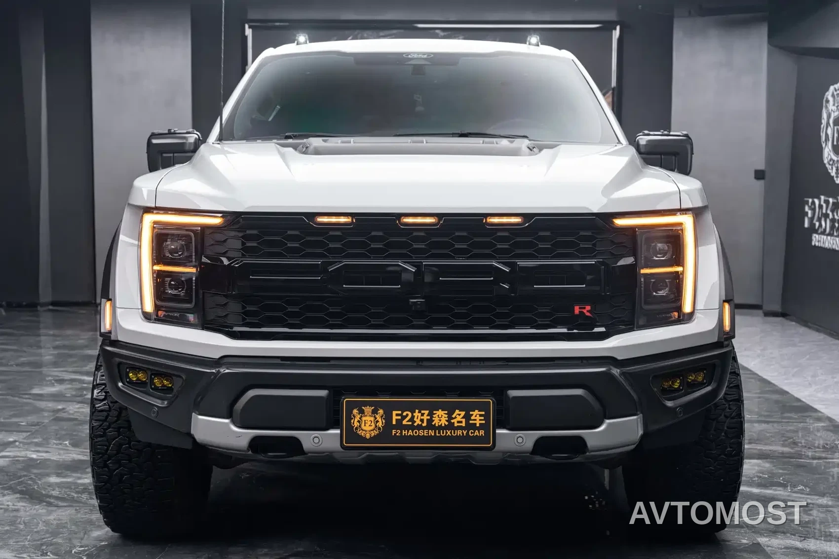 Ford F-150 Raptor 2023 3.5T Raptor Snow Pride Special Edition — фото 2