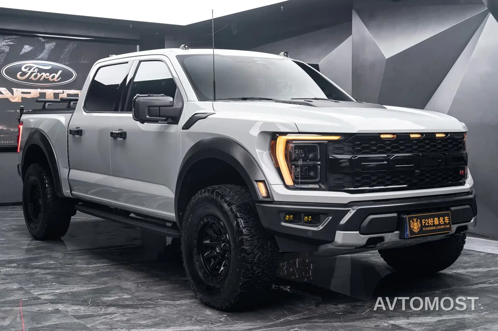 Ford F-150 Raptor 2023 3.5T Raptor Snow Pride Special Edition — фото 3