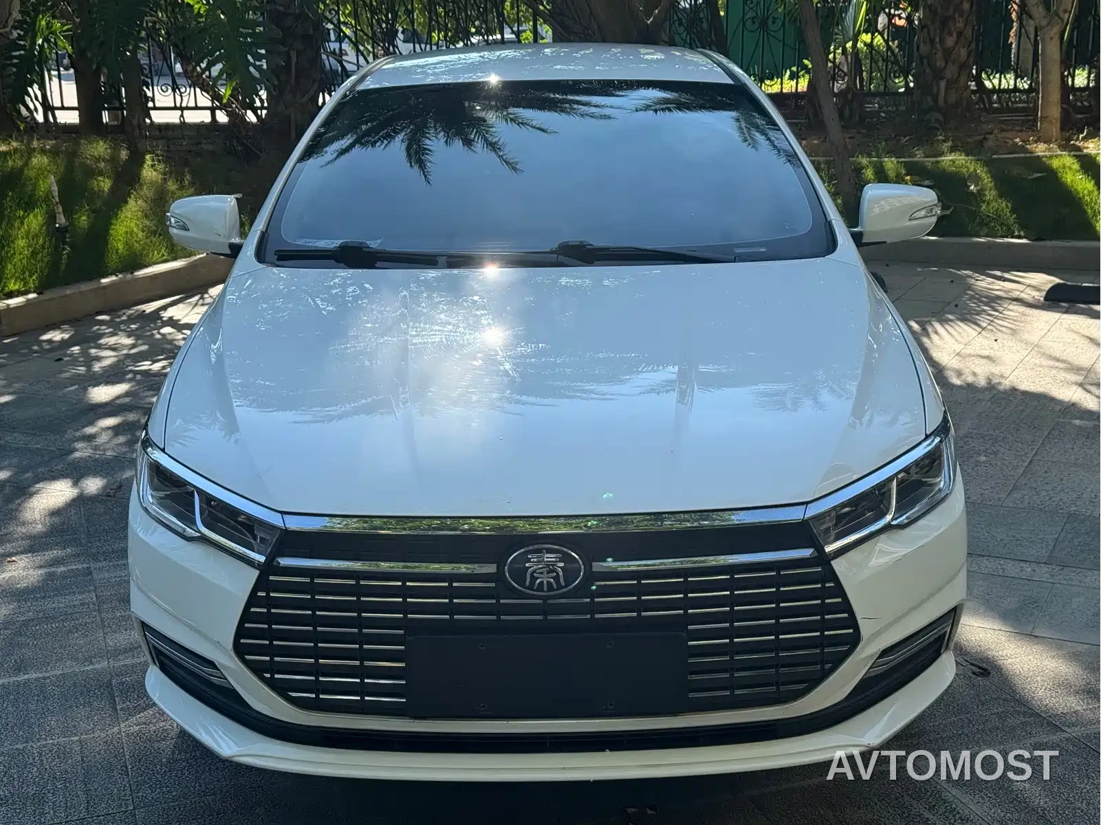 BYD Qin New Energy 2021 Mobility Edition — фото 2