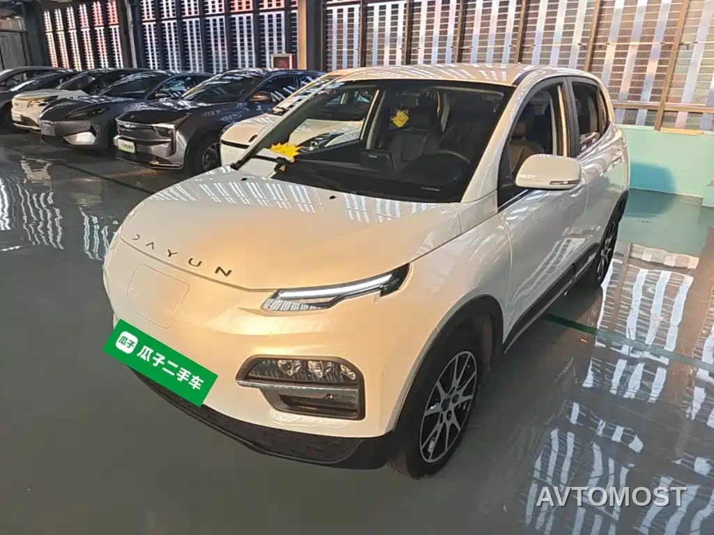 Dayun Yuehu 2022 30.66kWh 2WD VIP Edition — фото 2