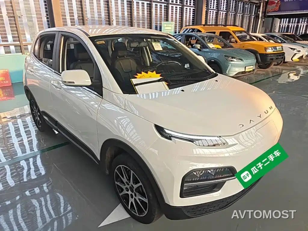 Dayun Yuehu 2022 30.66kWh 2WD VIP Edition — фото 4