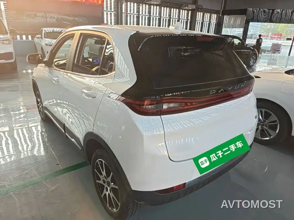 Dayun Yuehu 2022 30.66kWh 2WD VIP Edition — фото 5