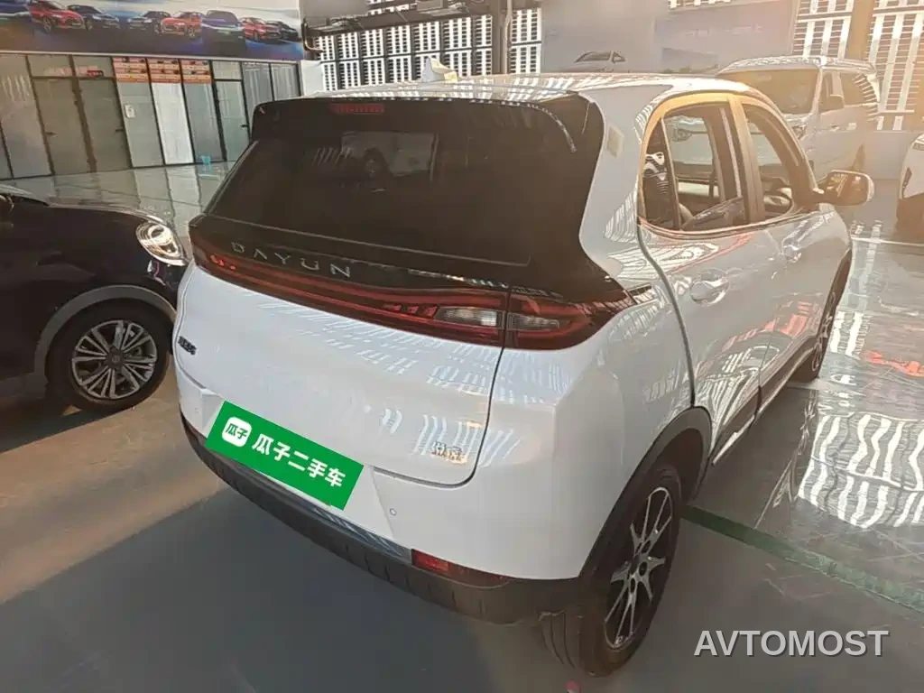 Dayun Yuehu 2022 30.66kWh 2WD VIP Edition — фото 7