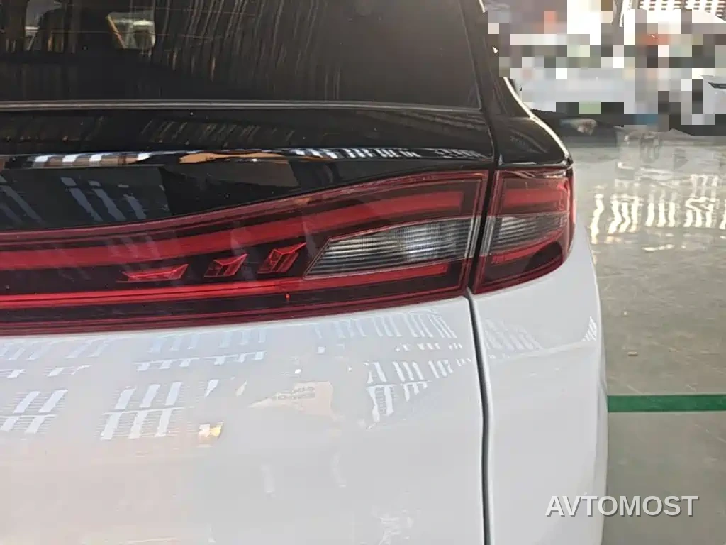 Dayun Yuehu 2022 30.66kWh 2WD VIP Edition — фото 8
