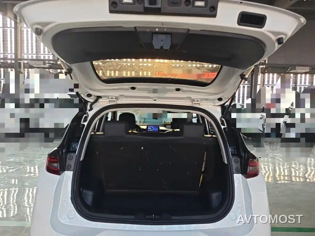 Dayun Yuehu 2022 30.66kWh 2WD VIP Edition — фото 19