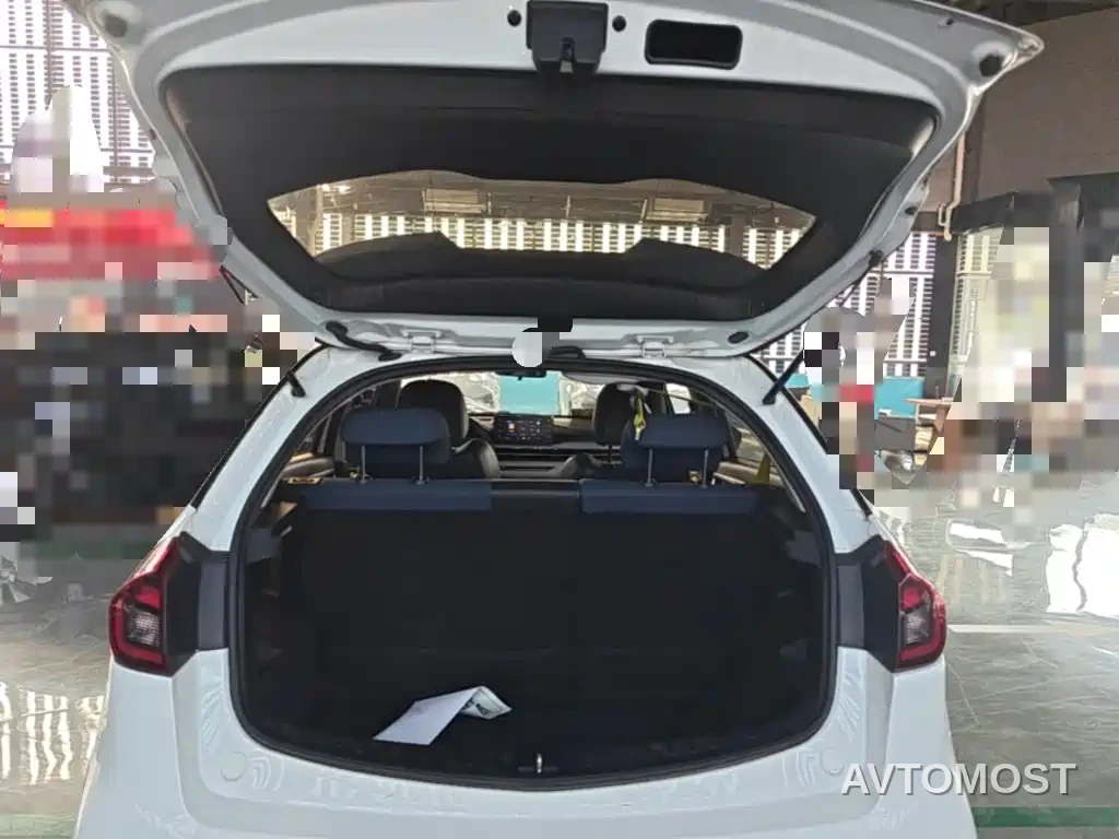 Geely Geometry EX3 Kung Fu Bull 2021 Kung Fu Niu — фото 15