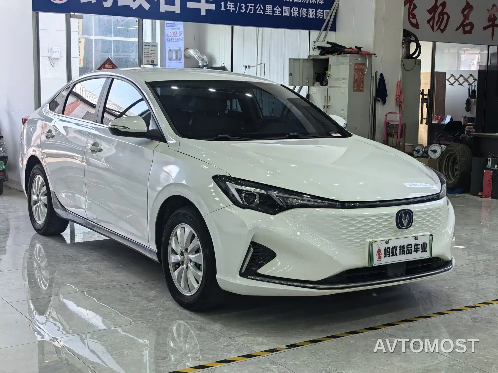 Changan Eado New Energy 2022 EV460 Premium Edition (LFP) — фото 3