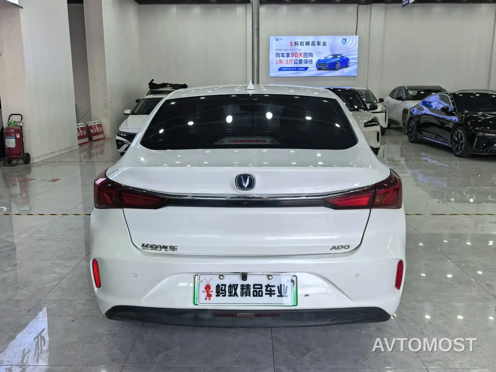 Changan Eado New Energy 2022 EV460 Premium Edition (LFP) — фото 5