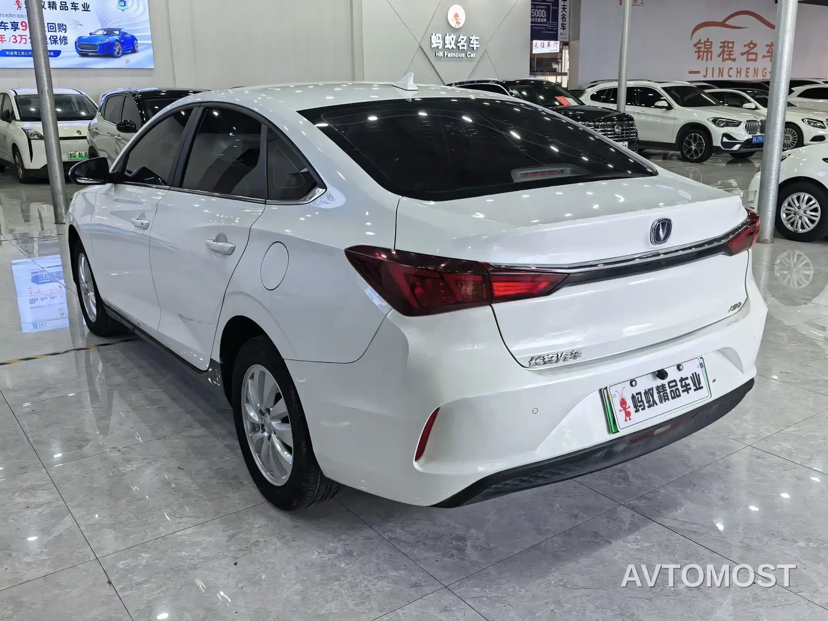 Changan Eado New Energy 2022 EV460 Premium Edition (LFP) — фото 7