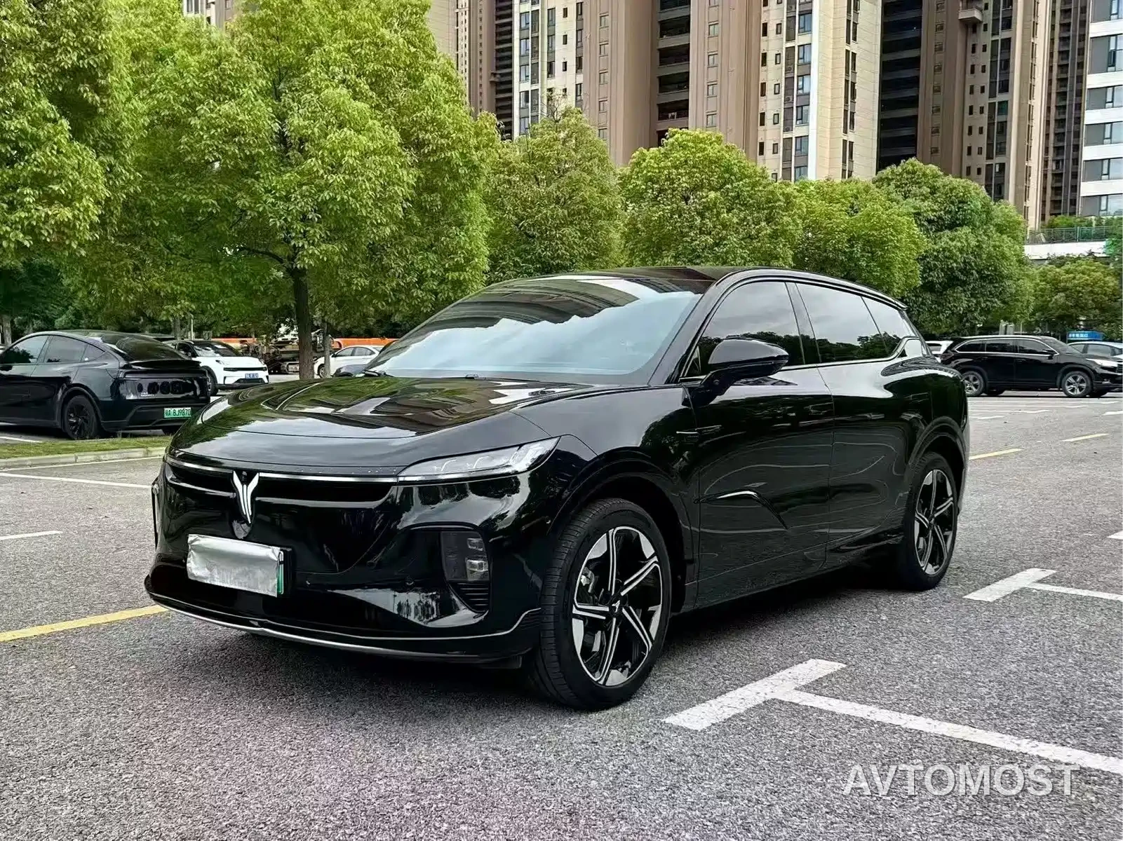 Voyah Zhiyin 2024 Long Range Super Charging Edition — фото 1