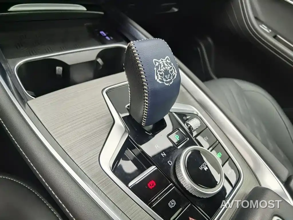 Chery Tiggo 7 PLUS New Energy 2023 1.5T Smart Distance Model — фото 11