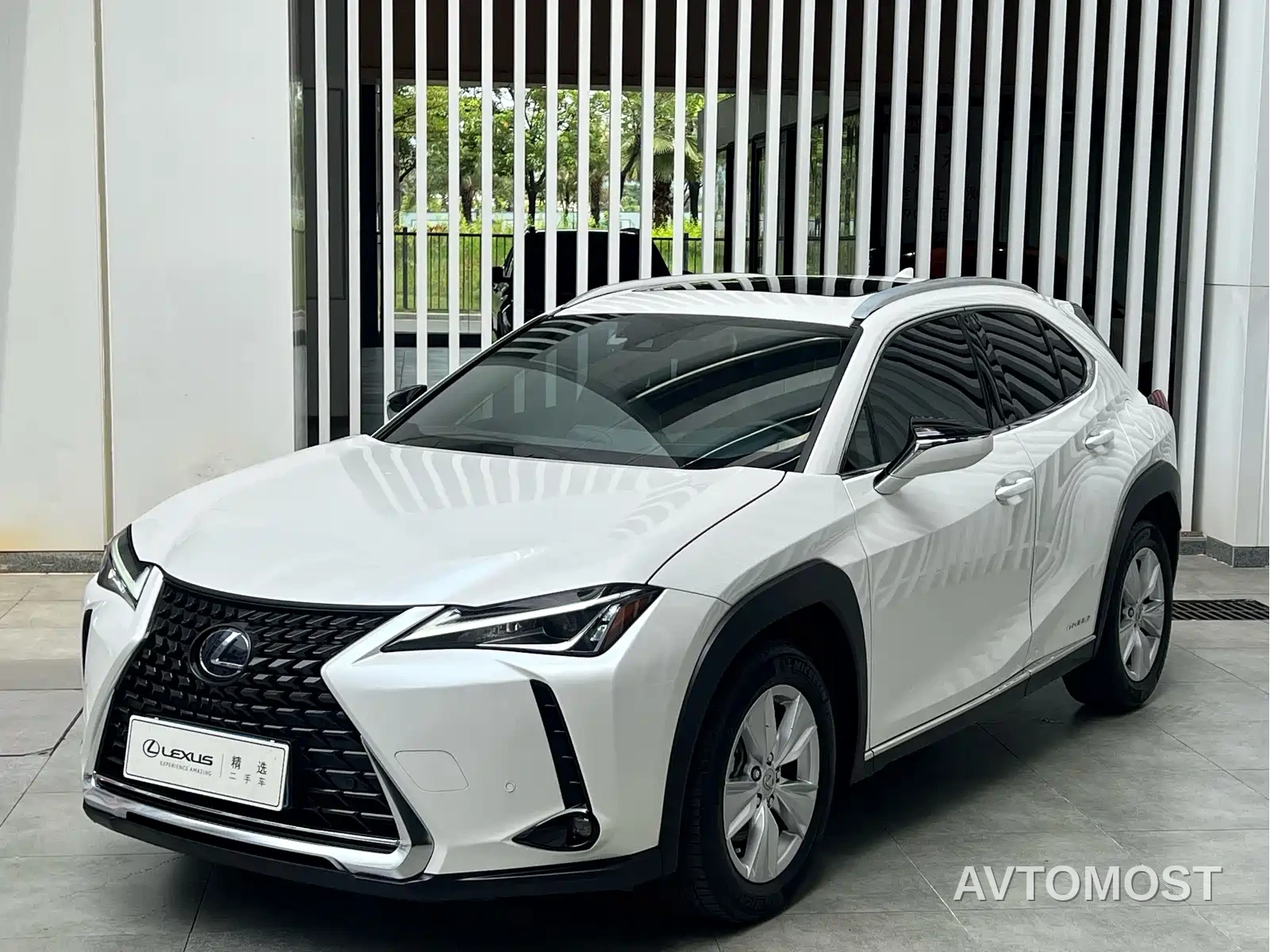 Lexus UX 2020 260h Explore Fun Edition China V — фото 1