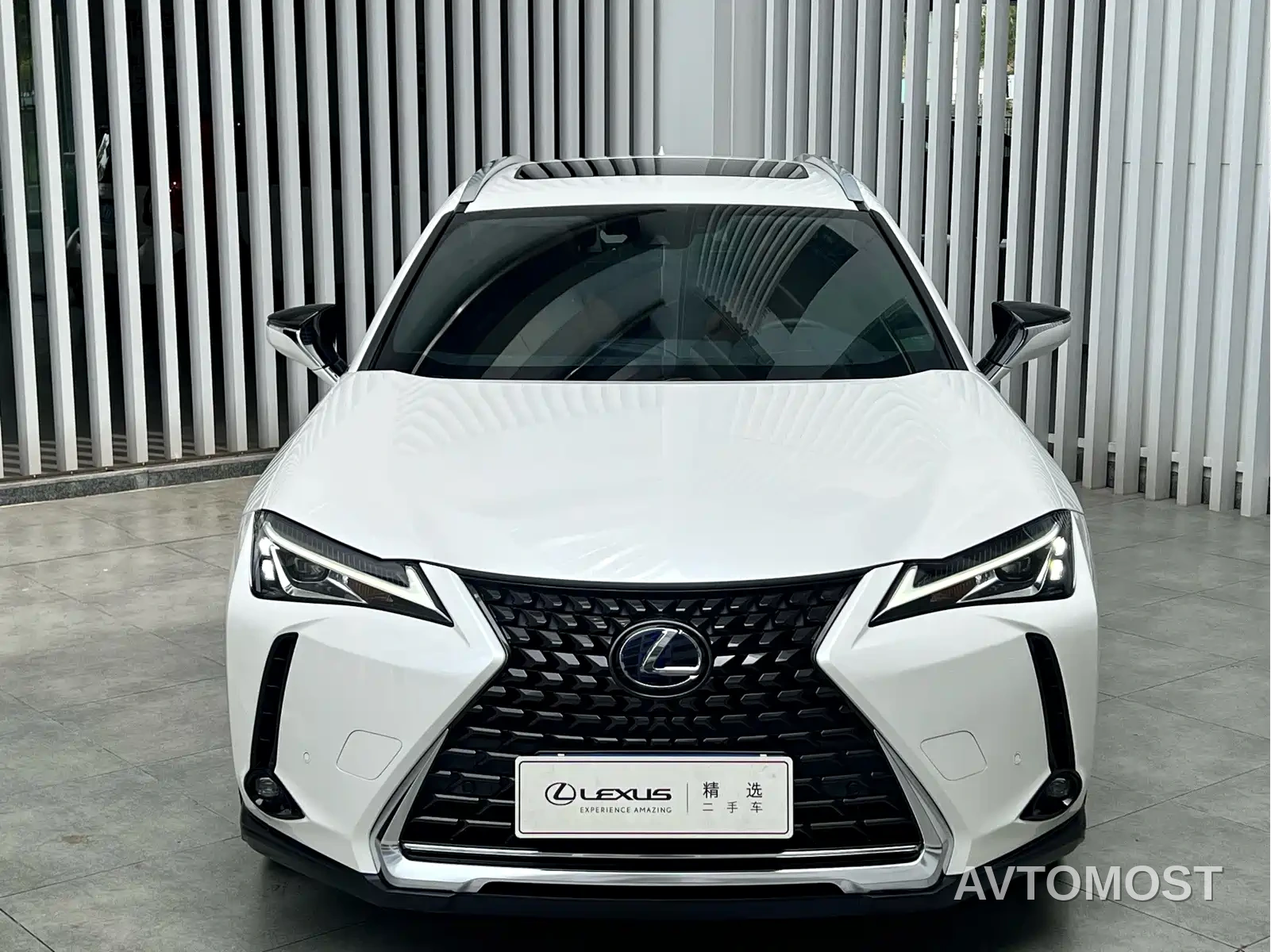 Lexus UX 2020 260h Explore Fun Edition China V — фото 2