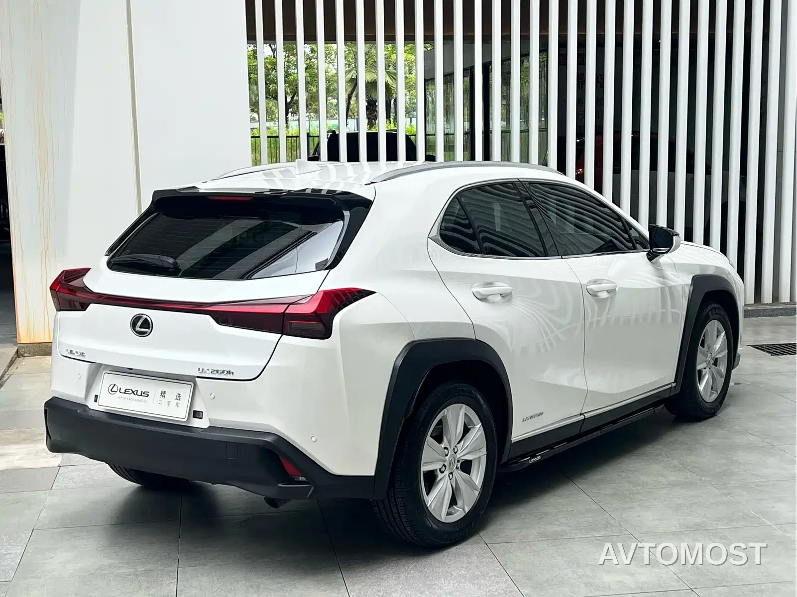 Lexus UX 2020 260h Explore Fun Edition China V — фото 8
