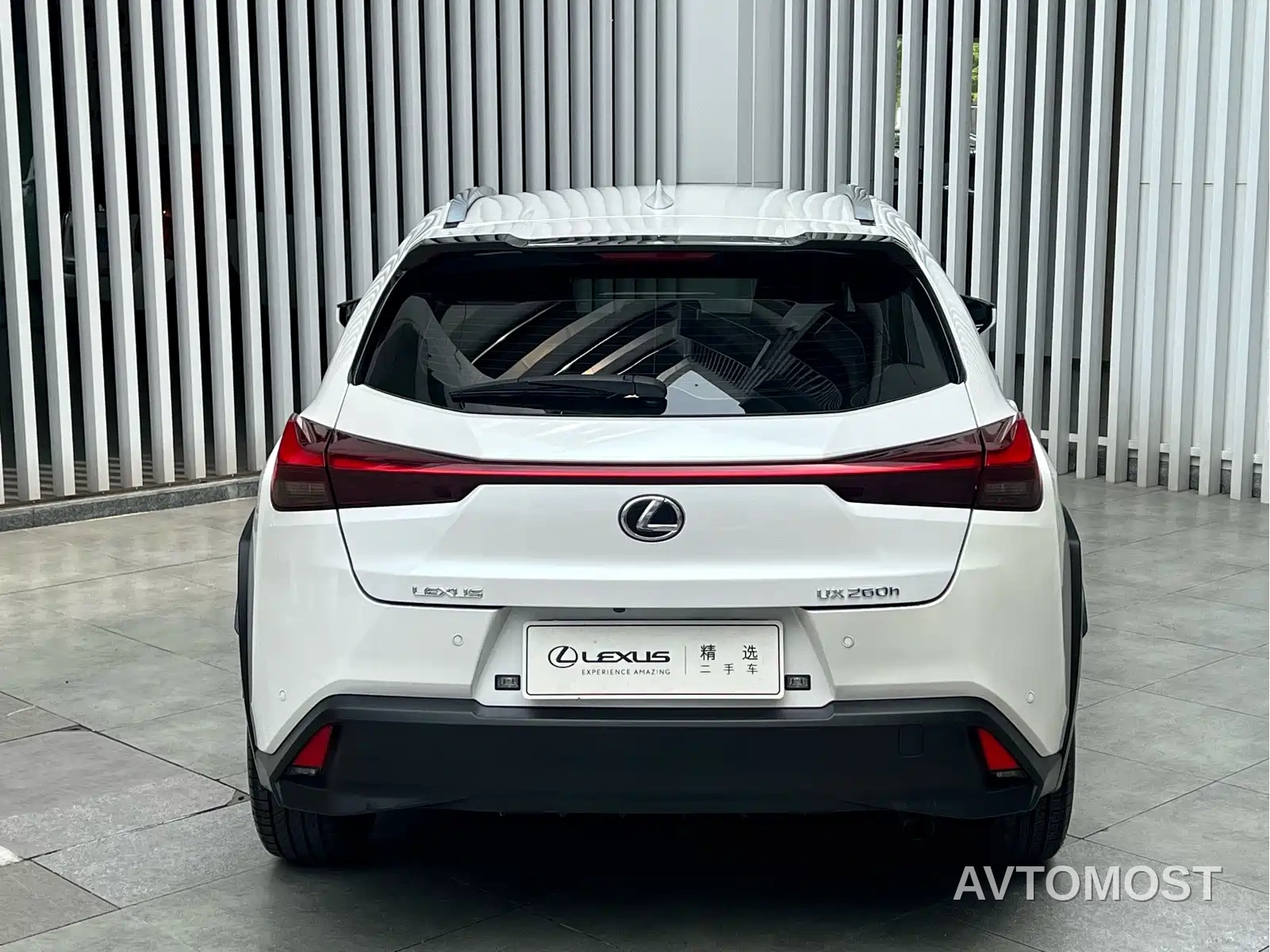Lexus UX 2020 260h Explore Fun Edition China V — фото 9