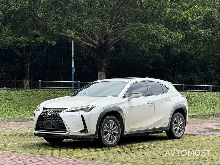Lexus UX Electric 2020 300e Pure Enjoyment Edition