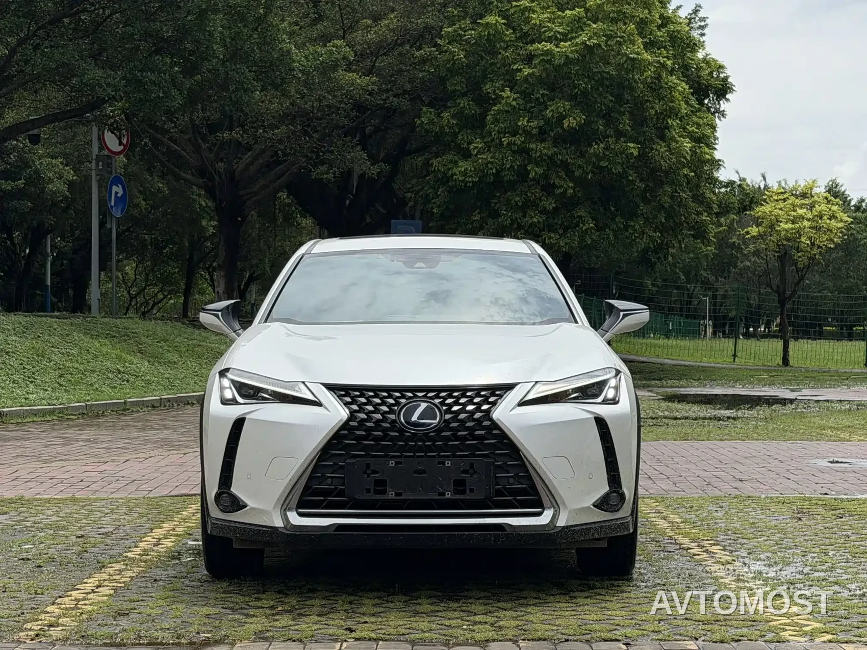 Lexus UX Electric 2020 300e Pure Enjoyment Edition — фото 2
