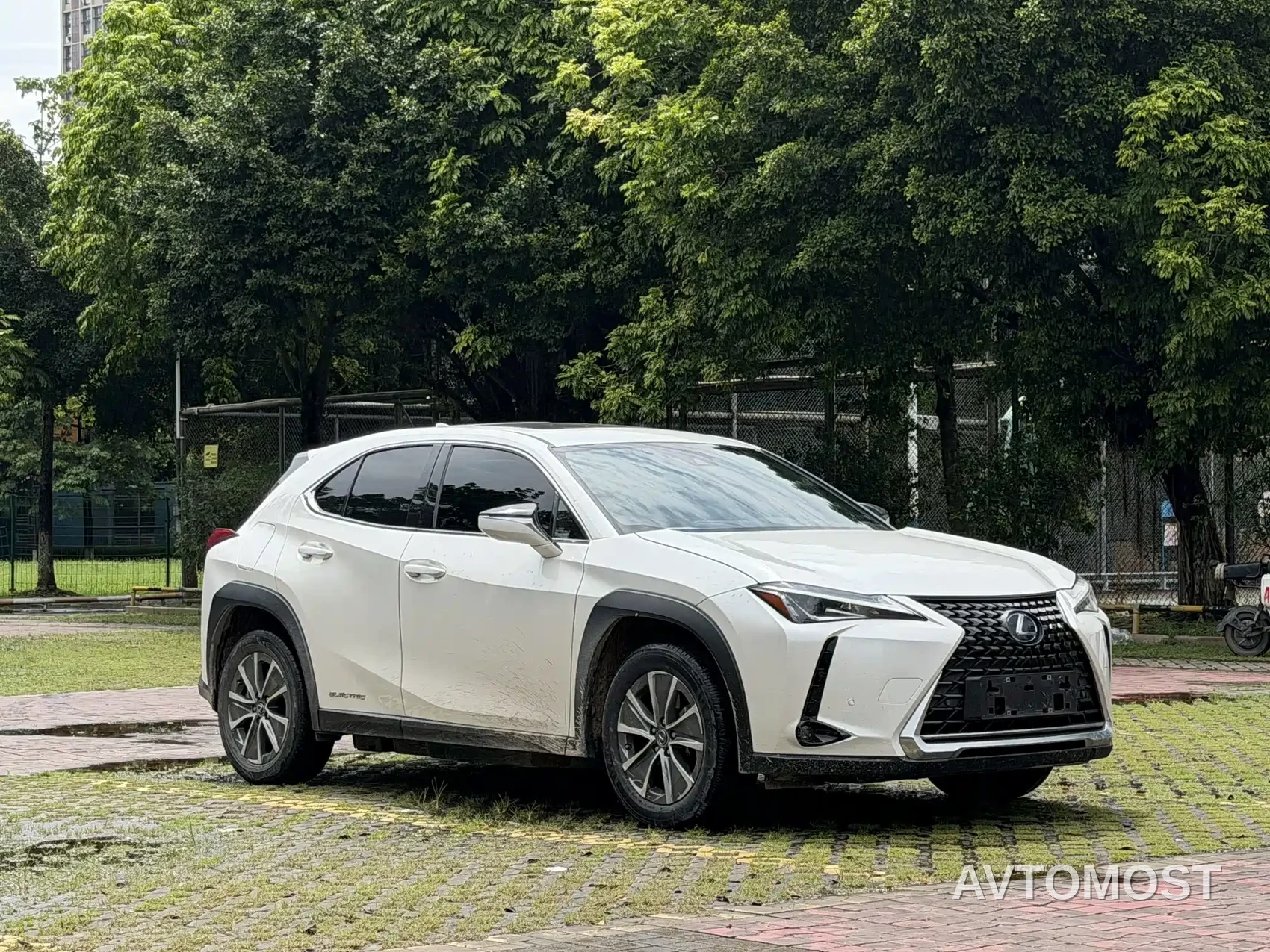 Lexus UX Electric 2020 300e Pure Enjoyment Edition — фото 3