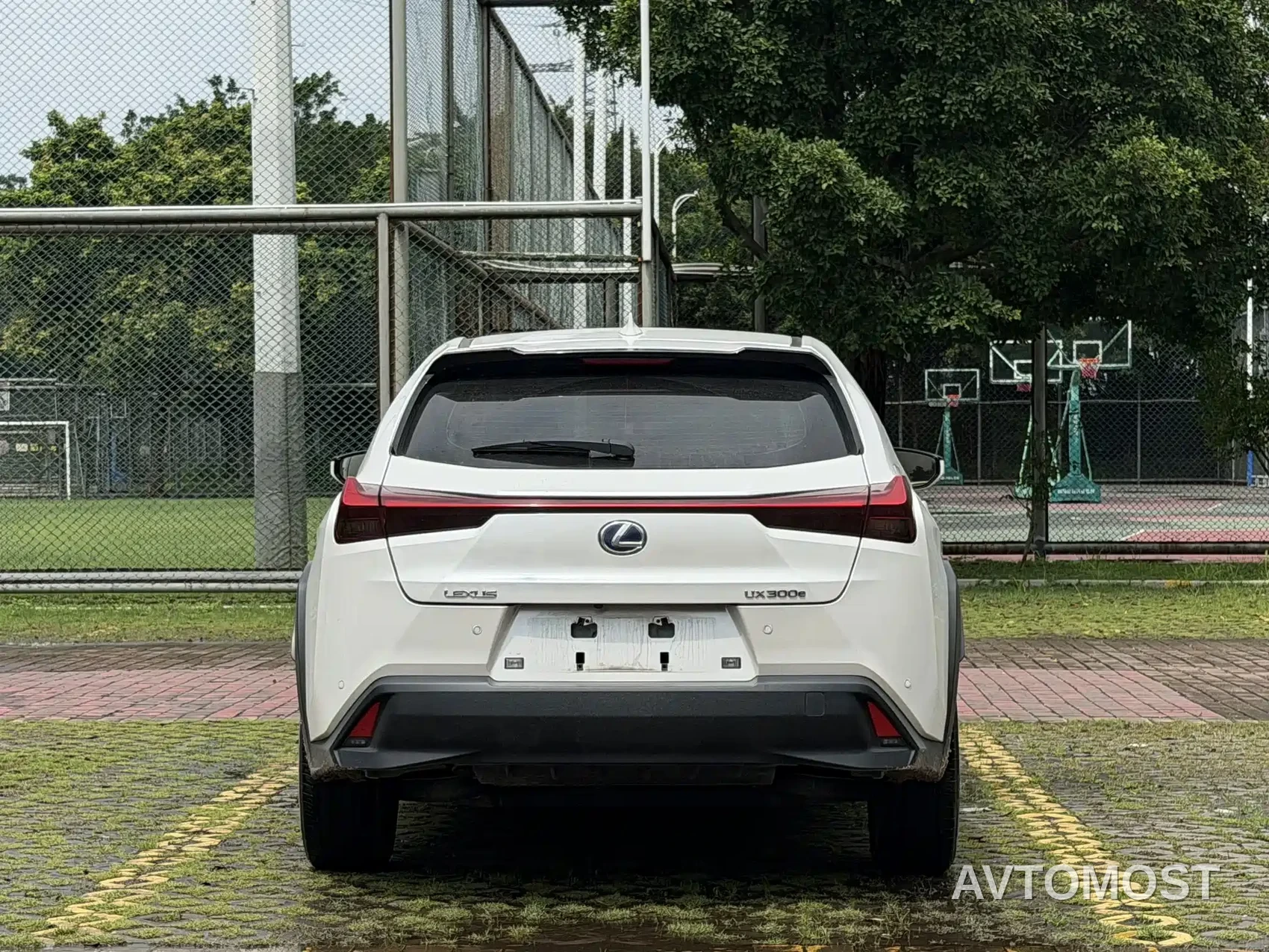 Lexus UX Electric 2020 300e Pure Enjoyment Edition — фото 6