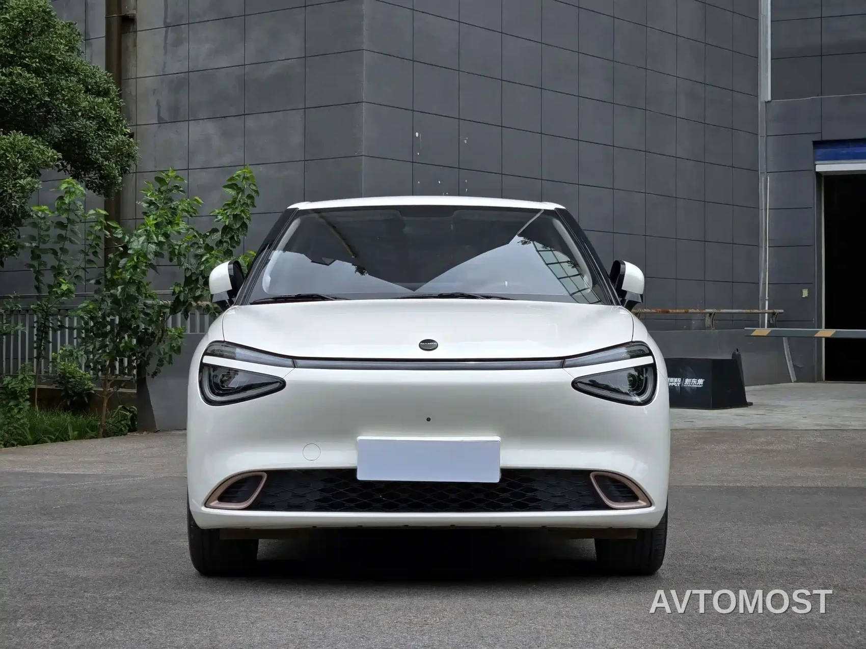 Dongfeng Yipai Nano 01 2024 430 Plus — фото 2