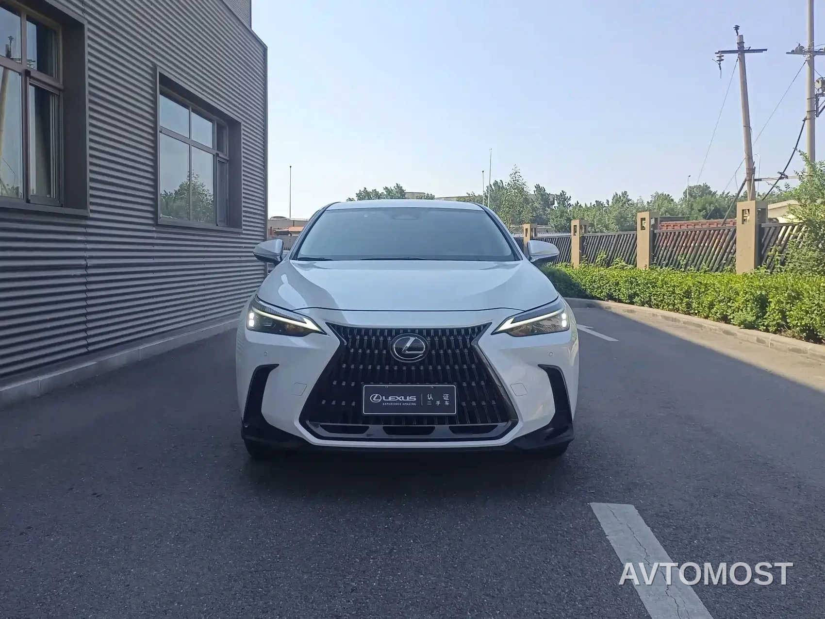 Lexus NX 2022 260 FWD Innovation Edition — фото 1