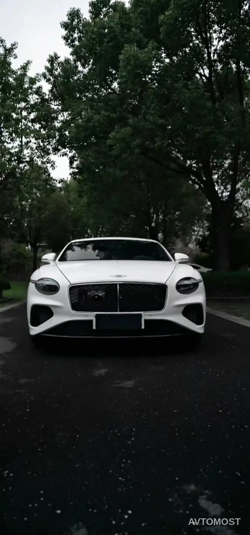Bentley Continental Plug-in Hybrid 2026 GT Base Model — фото 3