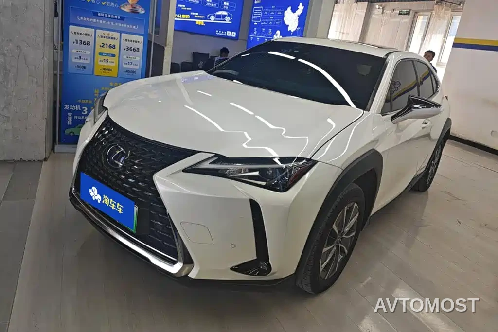 Lexus UX Electric 2020 300e Pure Yue Edition — фото 1