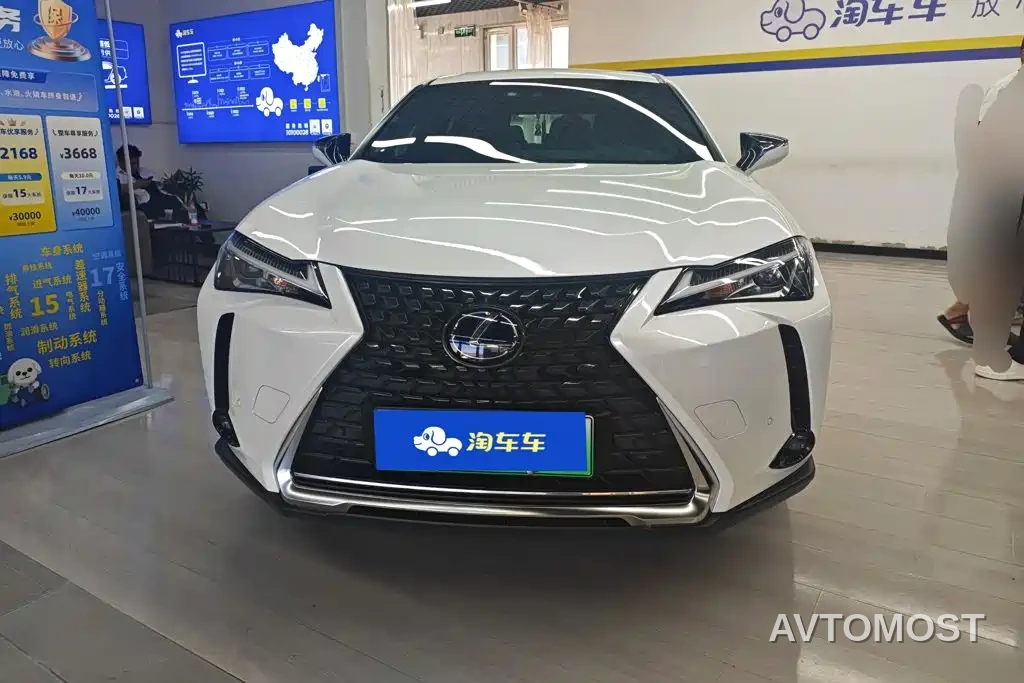 Lexus UX Electric 2020 300e Pure Yue Edition — фото 2