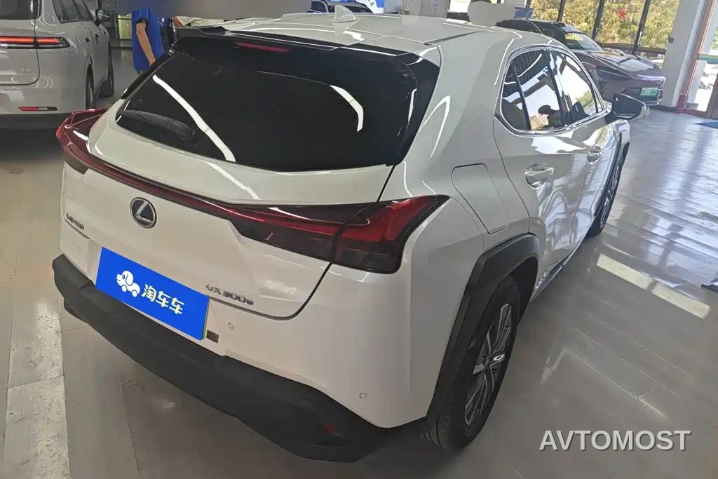 Lexus UX Electric 2020 300e Pure Yue Edition — фото 3
