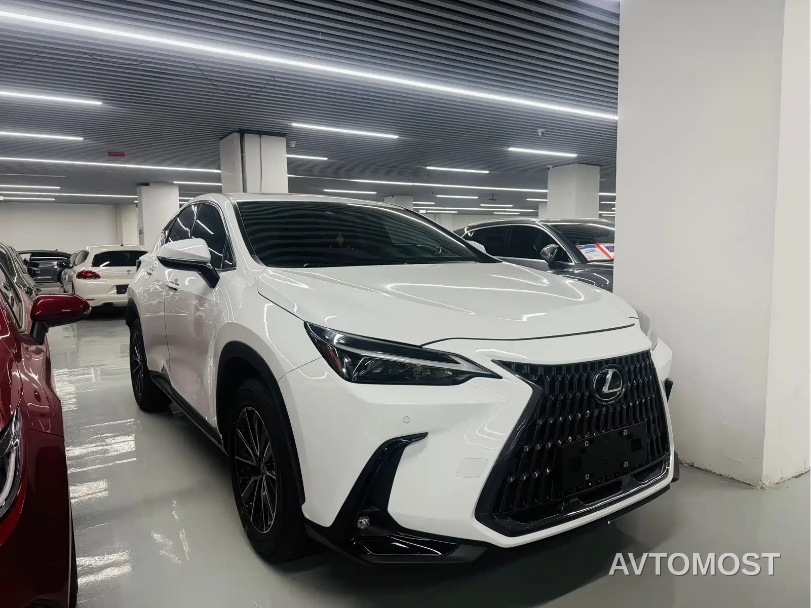 Lexus NX 2025 Model 200 Base Version — фото 1