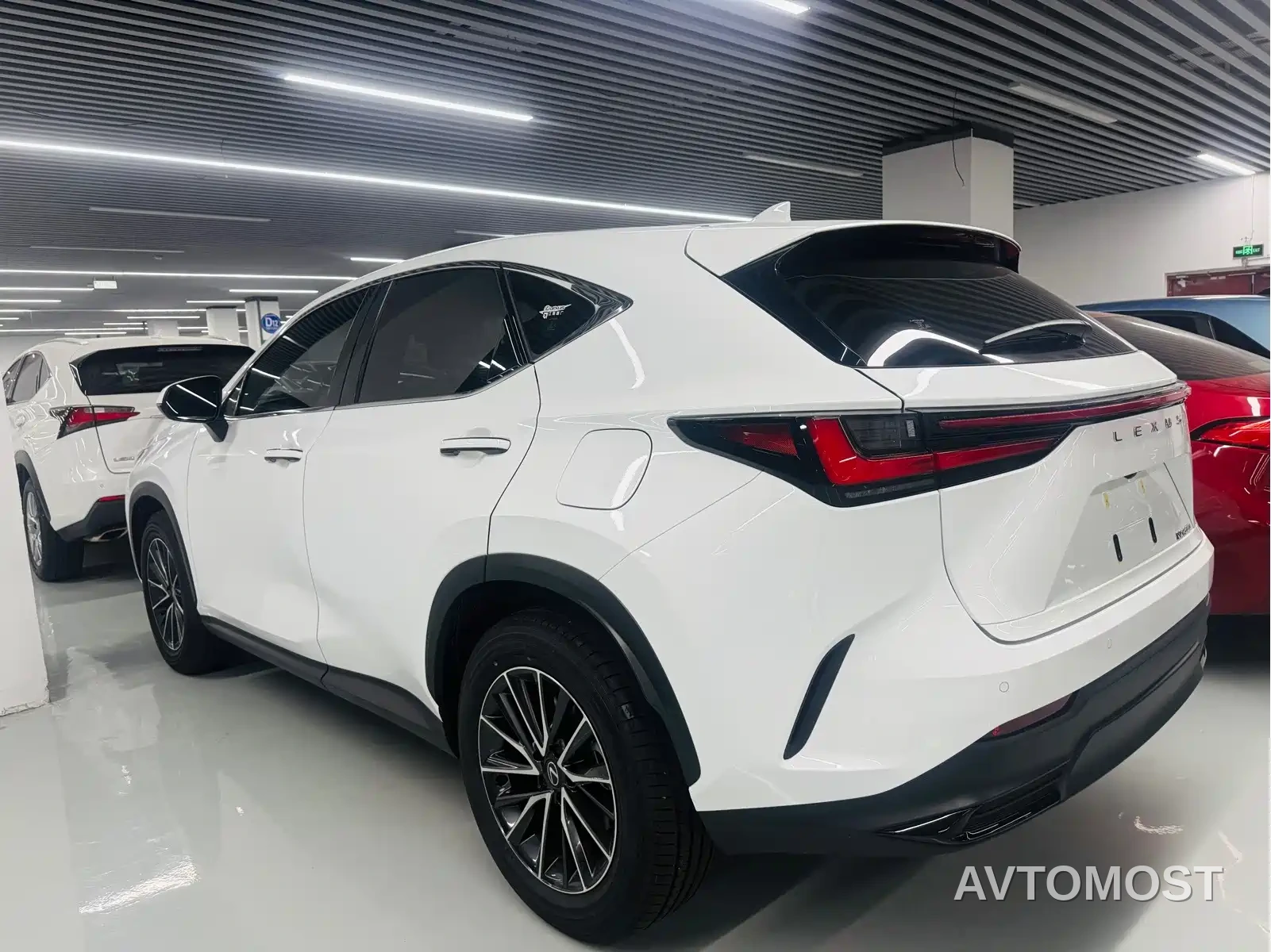 Lexus NX 2025 Model 200 Base Version — фото 12