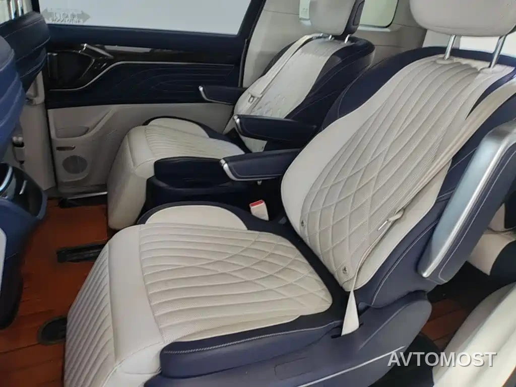 SAIC Maxus Dajia 9 2022 Long Range Grassland 7-Seater — фото 16