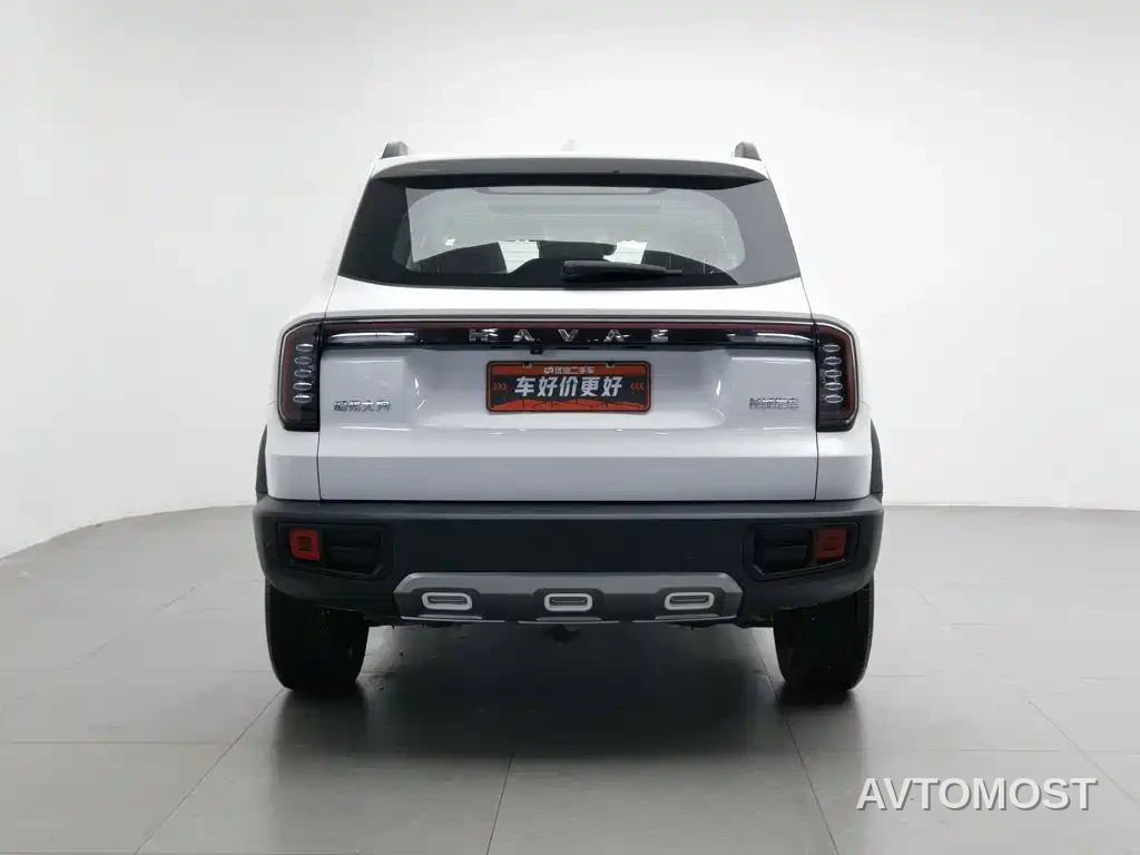 Haval Big Dog 2024 1.5T DCT Border Collie Edition — фото 3