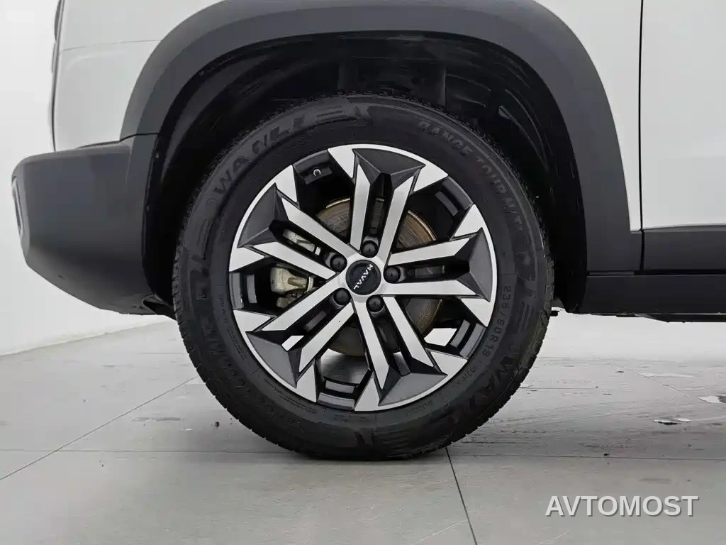 Haval Big Dog 2024 1.5T DCT Border Collie Edition — фото 14